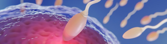 提高妊娠率，降低流产率—高龄/习惯性流产也能怀上