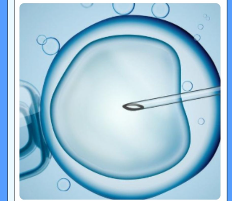 26岁做试管婴儿有危险吗