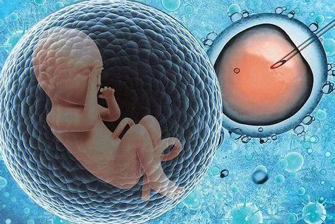 试管婴儿机构星蕴合悦需要什么条件