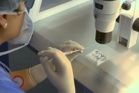 26岁做试管婴儿成功率多少高吗