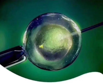 试管婴儿机构星蕴合悦技术怎么样