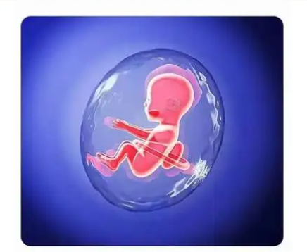 25岁试管婴儿成功率是多少