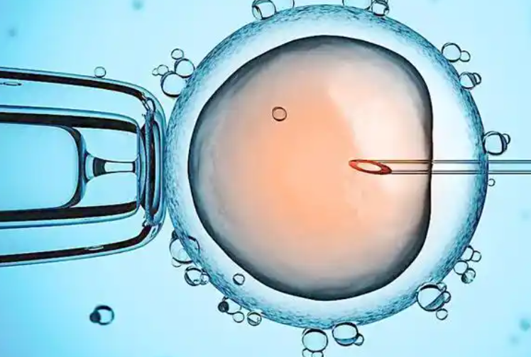 24岁做试管婴儿一次成功的几率大吗