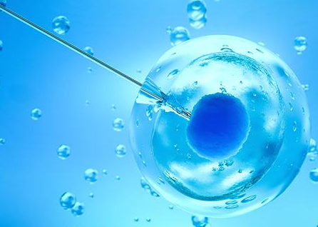 24岁做试管婴儿成功率高吗