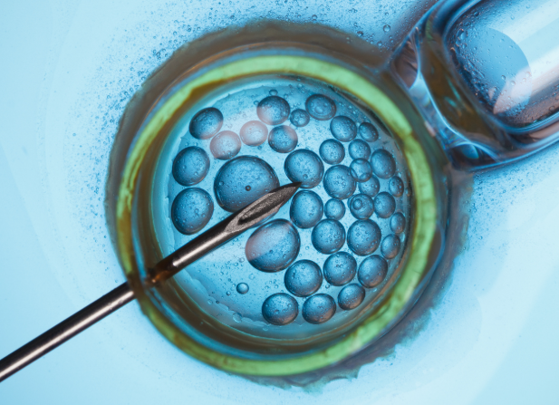 澳洲做试管婴儿报销吗